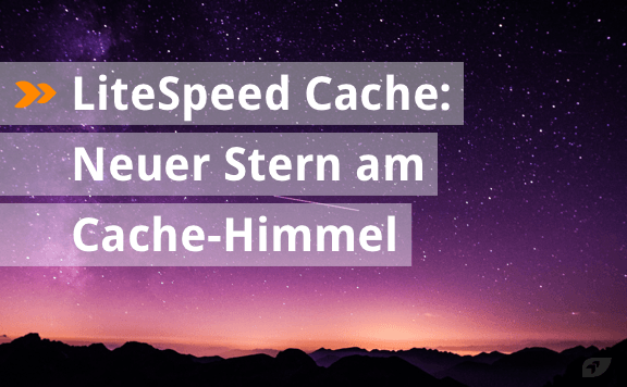 LiteSpeed Cache: Neuer Stern am Cache-Himmel