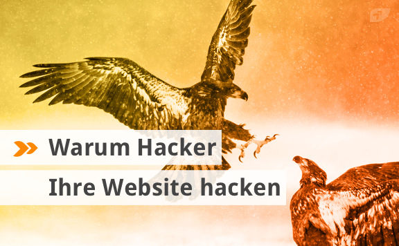 Warum Hacker Ihre Website hacken